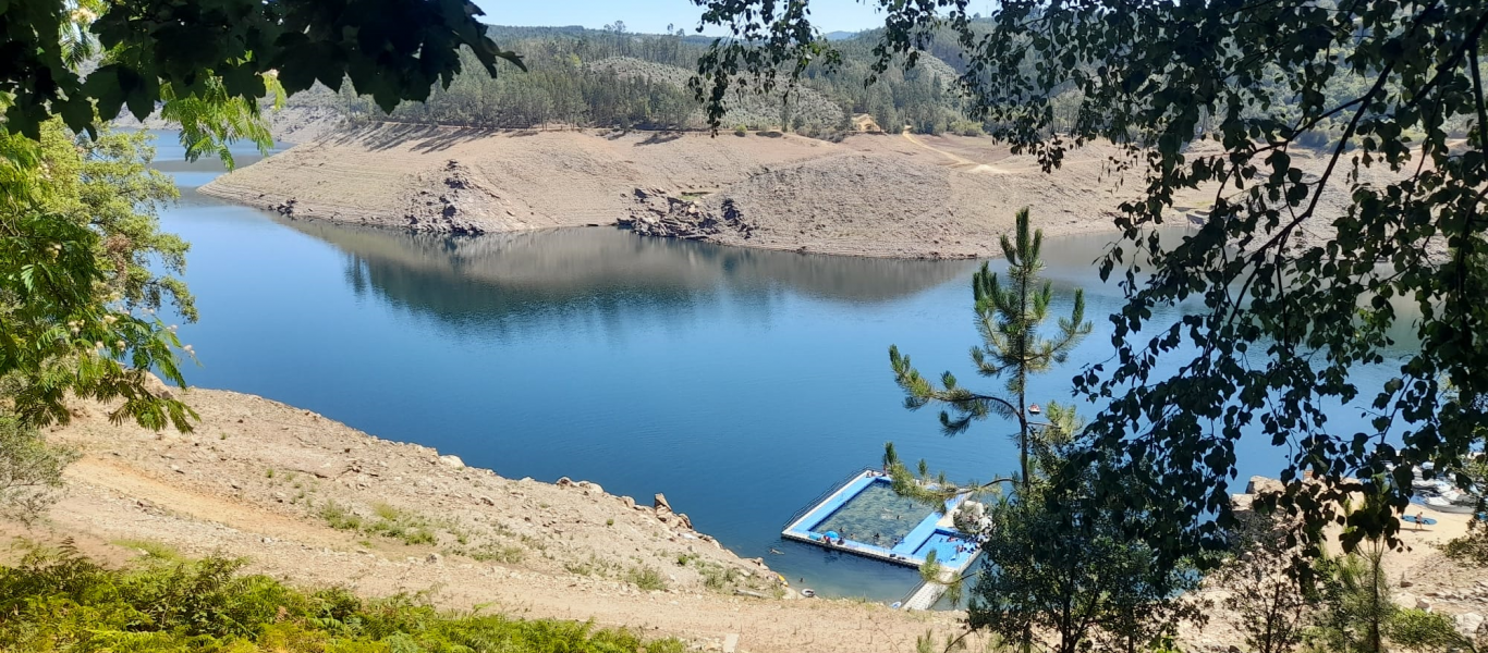 Várias pessoas num campo de paineis solar